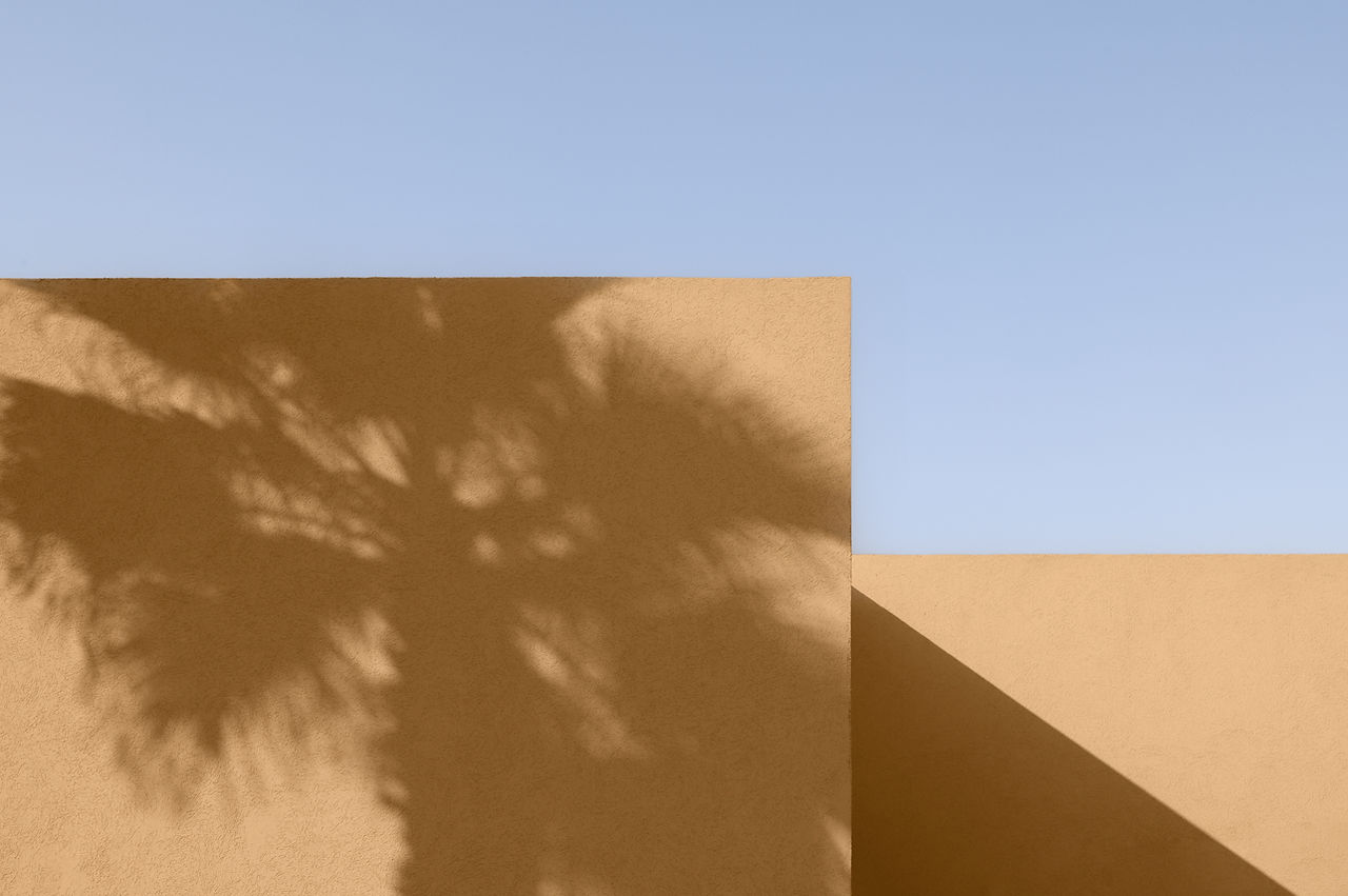 Tree Shadow on Wall