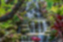 A waterfalll in a garden