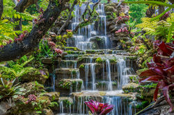 A waterfalll in a garden