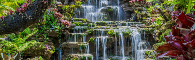 A waterfalll in a garden