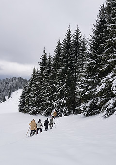 Winter Hiking Scene