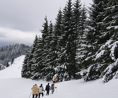 Winter Hike