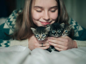 Iberia Airlines Liable for Pet Injury Under EU Air Passenger Law