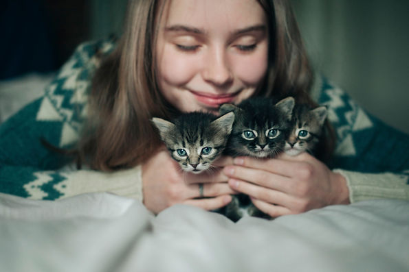 Cute Kittens