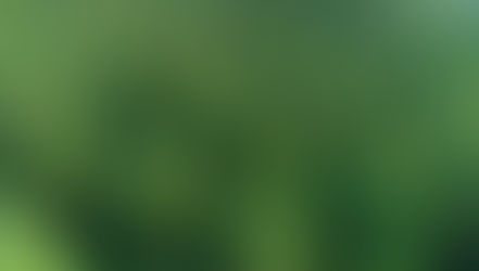 Преимущества сибирской лиственницы в современном строительстве