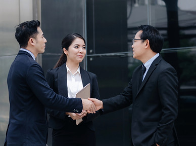 Professional Handshake