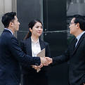 Professional Handshake