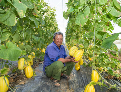 Farmer Holding Fruit