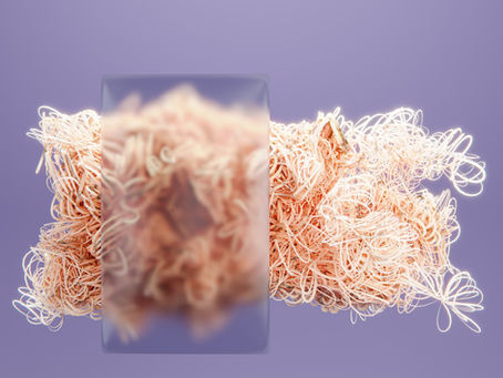 Do intervertebral discs have nerve innervation?