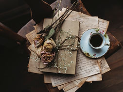 Dry Roses and Diary