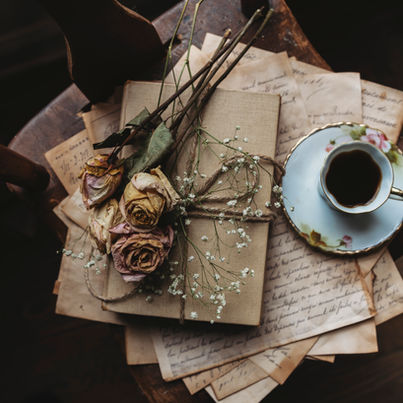 Biblioteca del Bosco, un libro per il fine estate