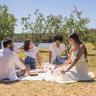 Fun Holiday – International Picnic Day