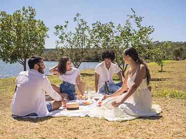 Outdoor Picnic Scene