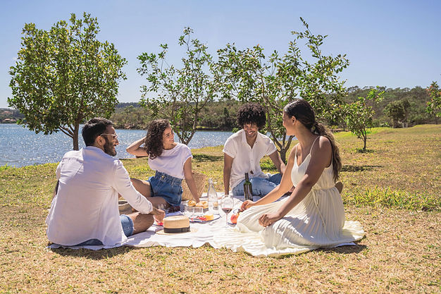 Outdoor Picnic Scene