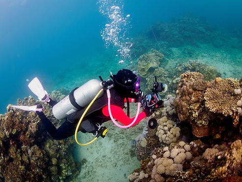 Marine Biologist
