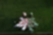 Rugby Scrum