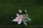 Rugby Scrum
