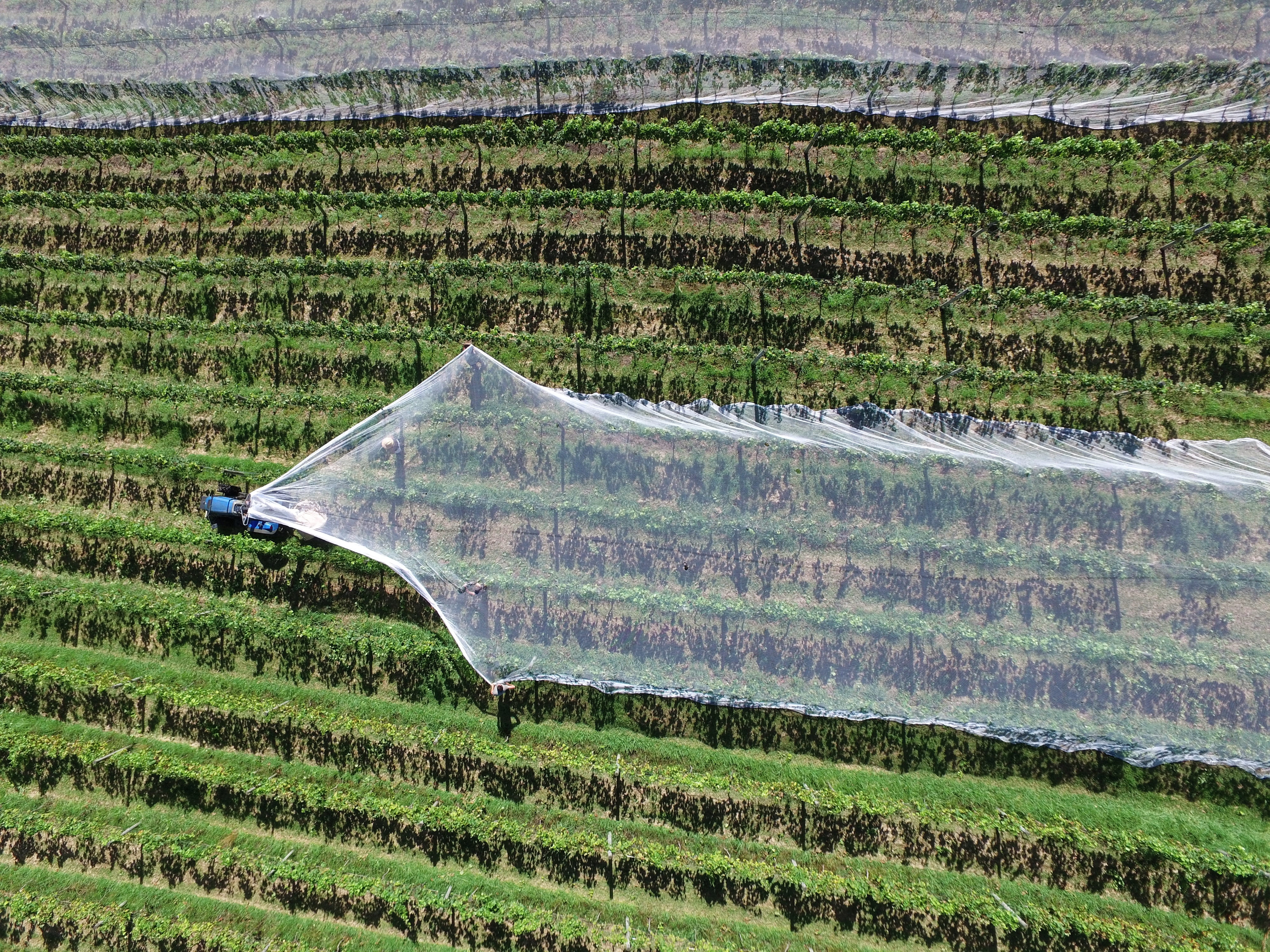 farm liability extensions_farming in Ontario