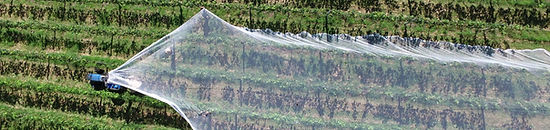 Net Covering Crops