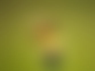 The deeper meaning behind a bee sting