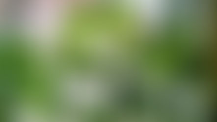 Hello 2025 Growing Season!