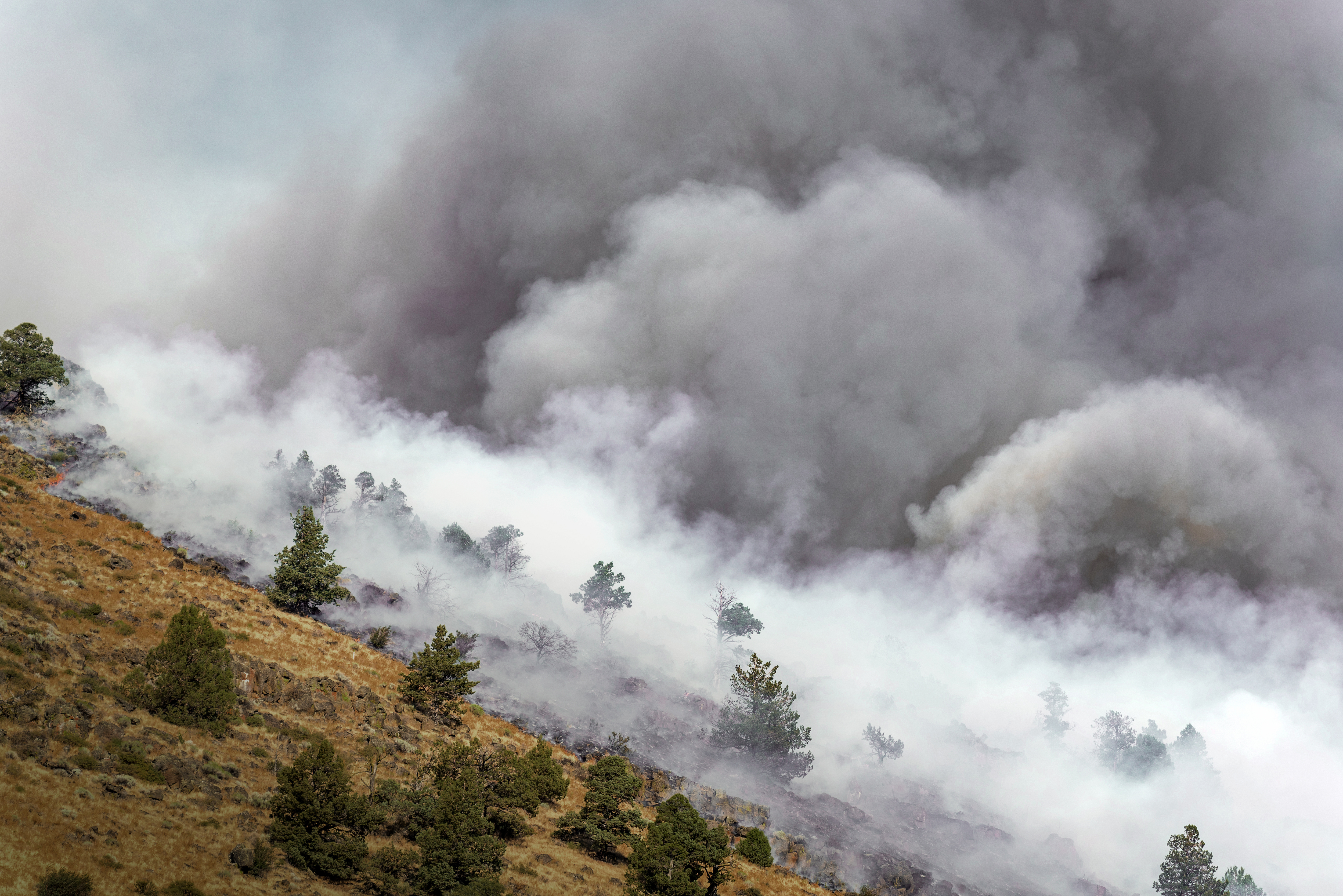 Why Is It So Hazy in Pasco County? The Surprising Link to Canadian Wildfires Explained!