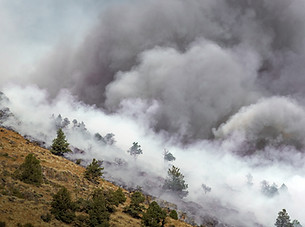 Wildfire