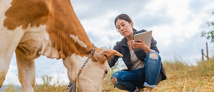 Farmer with Cow