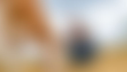 Elevação no custo da ração impactou o custo total