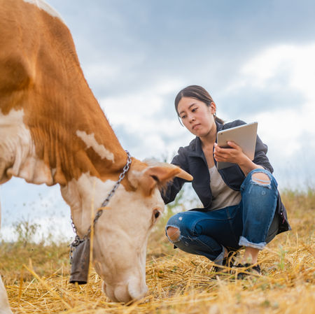 Key Metrics Every Cattle Rancher Should Know