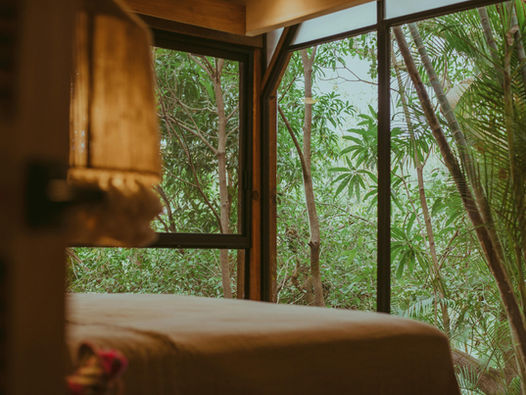 Cozy room with a large window overlooking lush green trees. Warm lighting and a simple bed create a tranquil, nature-inspired ambiance.