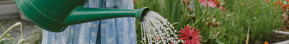 Femme arrosant des plantes