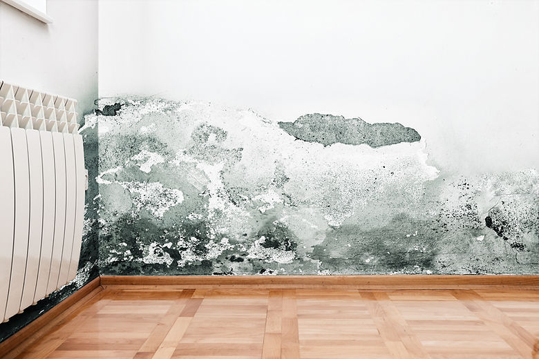 Mould and moisture buildup on a wall