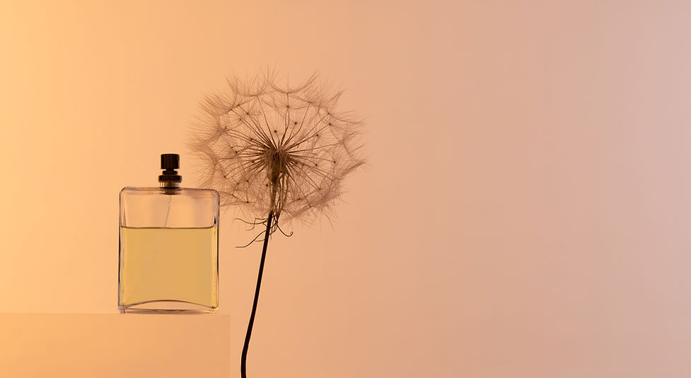 Expositor de frascos de perfume