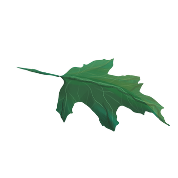 Green leaf.