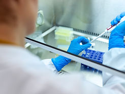 Virus Studies