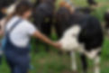 Yorkshire & Cumbria Agricultural Solicitors