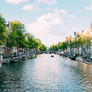 tree lined canal