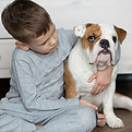 Pet
