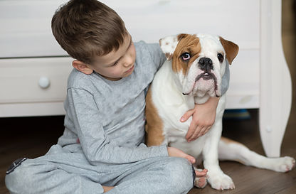 Pet