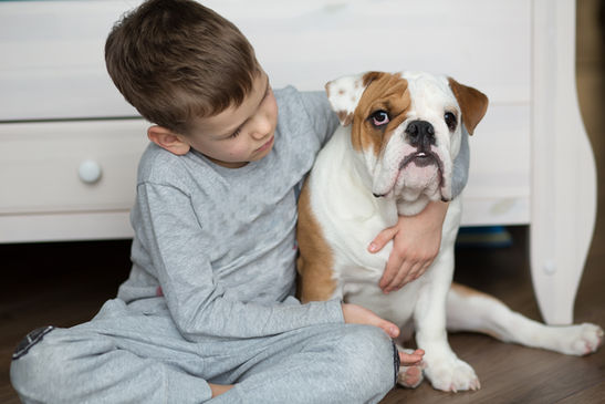Pet