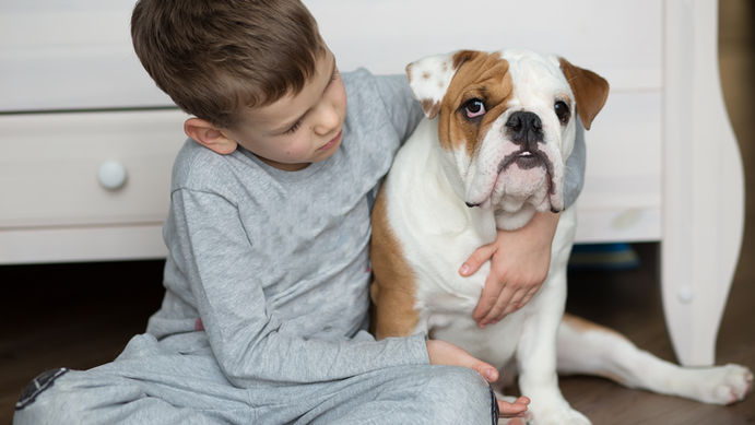 El 86 % de los hogares en Chile tiene mascotas y 92% las considera parte de su familia: el auge del pet parenting