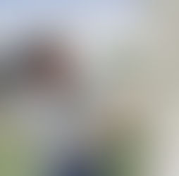 Arts Funding 101: Part 1: Dissecting Government Funding for the Arts