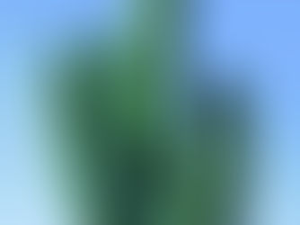 Мексиканские приключения в Казани: иностранец более трёх суток не может покинуть аэропорт