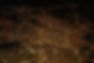 Night Lights