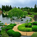 Jardín japonés
