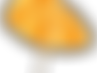 Campfires, choruses and street food feasting - Summer is officially sealed!