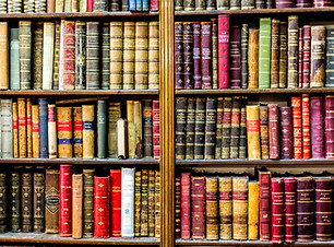 Estante de livros