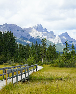 Mountains