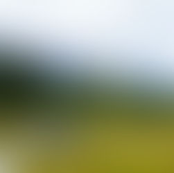 Tax Relief for Alaska - Wrangell Cooperative Association of Alaska Tribal Nation After Severe Storms